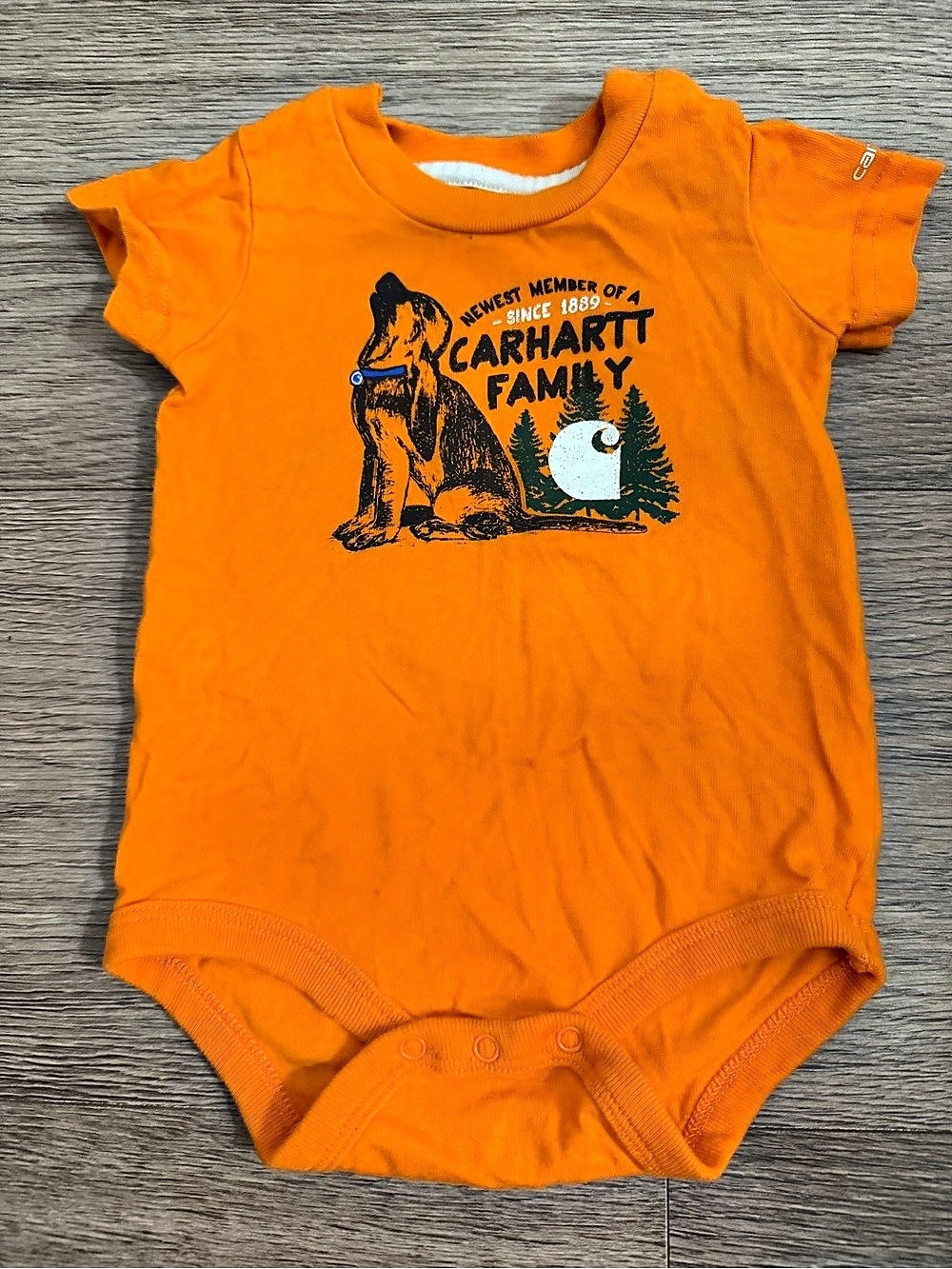 Carhartt Newest Member of the Carhartt Family Graphic Bodysuit Family Graphic